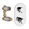 Thermostatic Ceiling Rain Shower System with Handheld, Rain Shower Head, Shower Faucet Set