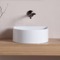 Modern White Ceramic Vessesl Sink